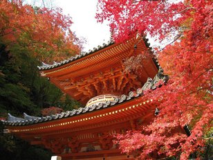 牛滝山