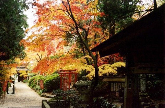 医王山油山寺の紅葉