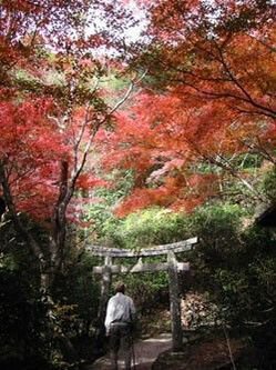 白馬渓