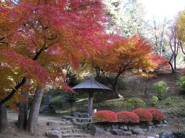 徳明園の紅葉