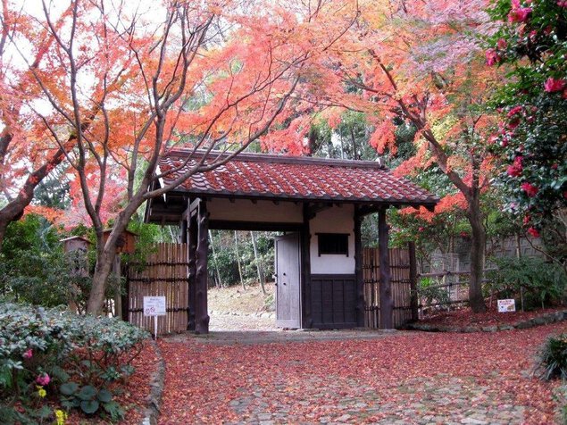 浜松城公園の紅葉