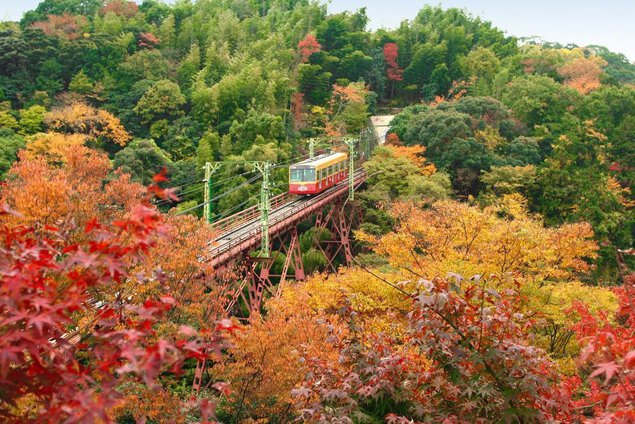 石清水八幡宮の紅葉