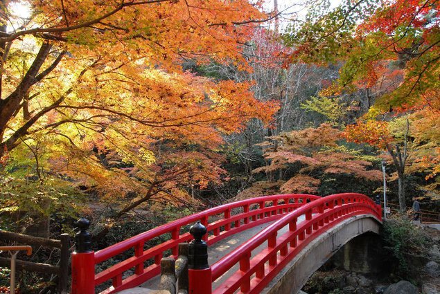 岩屋堂公園の紅葉