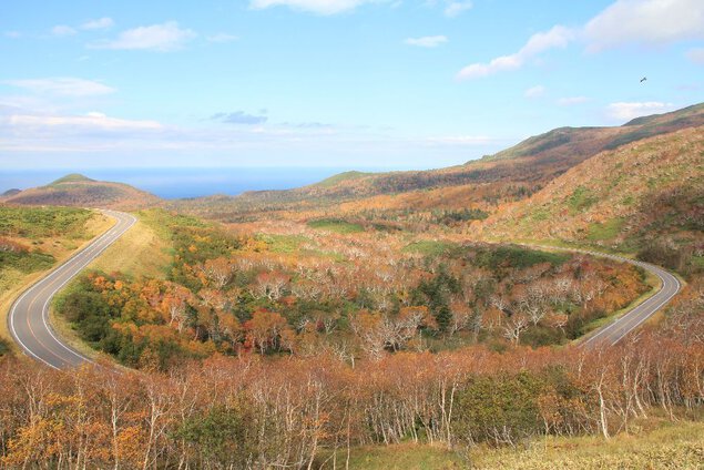 知床峠の紅葉