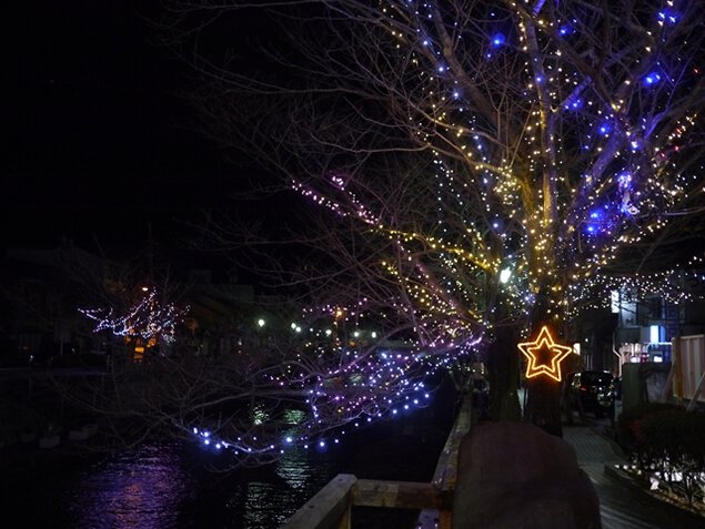 中の橋