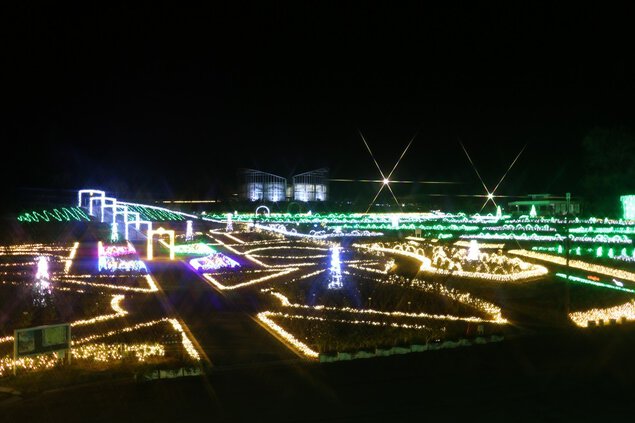 茨城県フラワーパーク