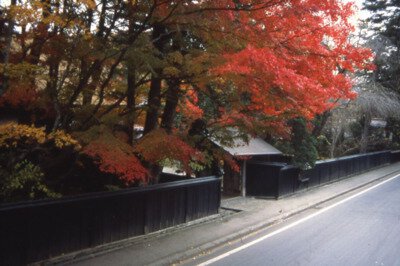 角館の紅葉