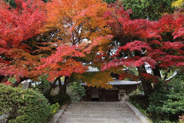 覚苑寺の紅葉