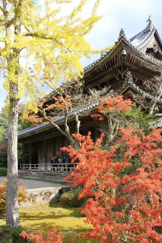 東光寺の紅葉