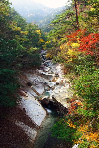 藤河内渓谷の紅葉