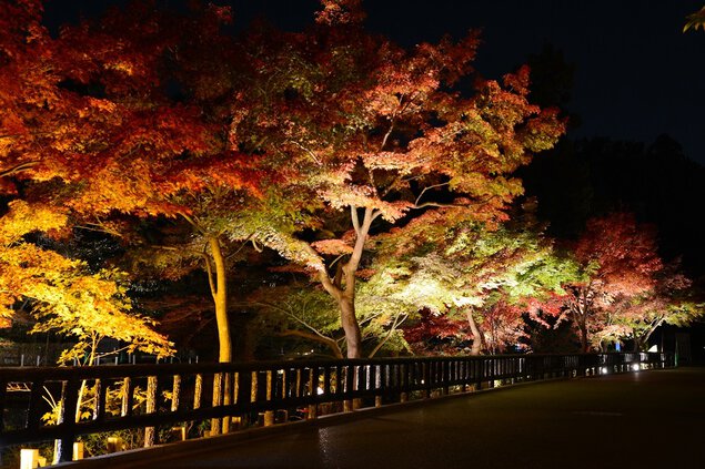 名古屋市東山動植物園の紅葉