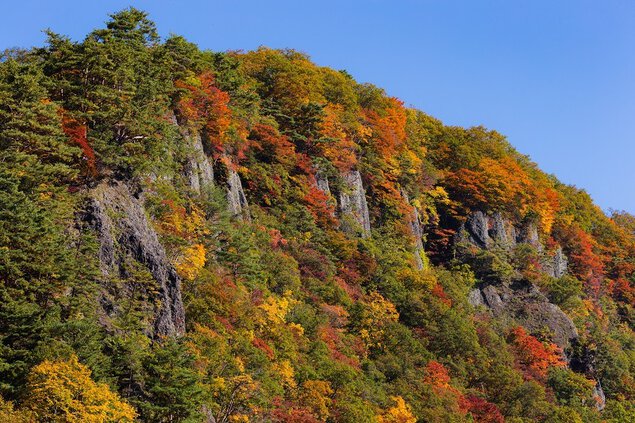 屏風岩の紅葉