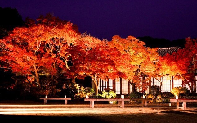神戸市立須磨離宮公園の紅葉