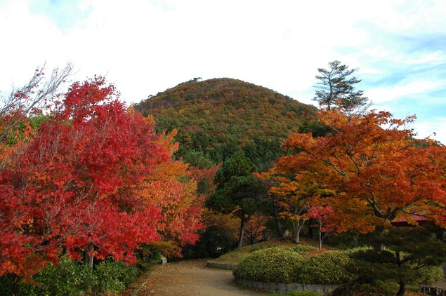 国上山の紅葉