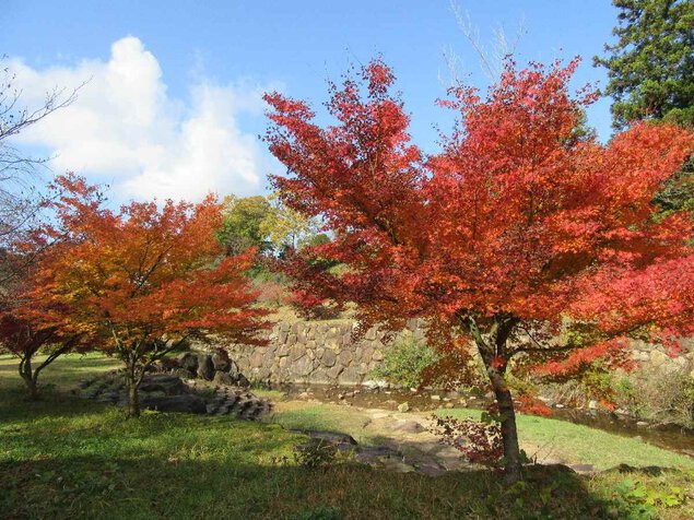 かみくの桃源郷の紅葉