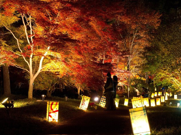 国営武蔵丘陵森林公園の紅葉