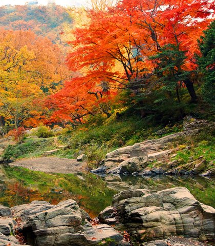 嵐山渓谷の紅葉