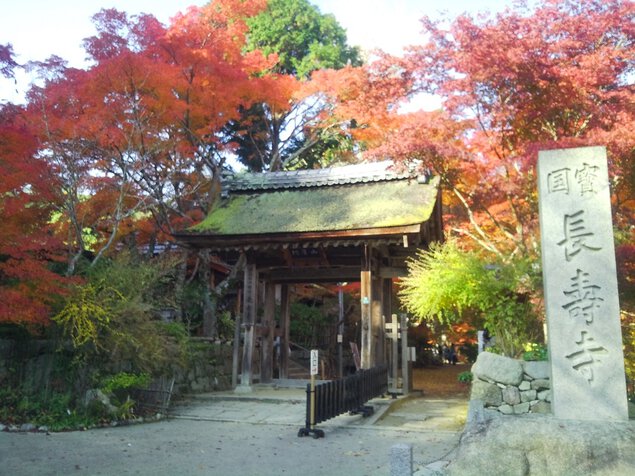 長寿寺(湖南三山)の紅葉