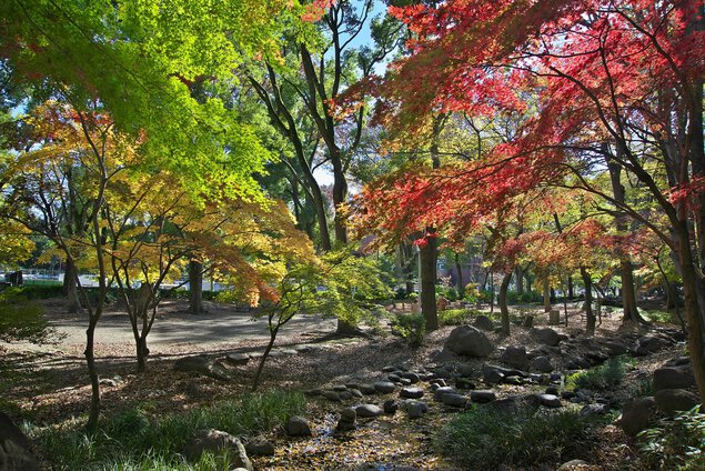 芝公園の紅葉