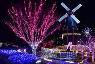 霞ヶ浦総合公園