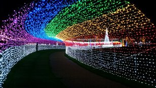 フローランテ宮崎