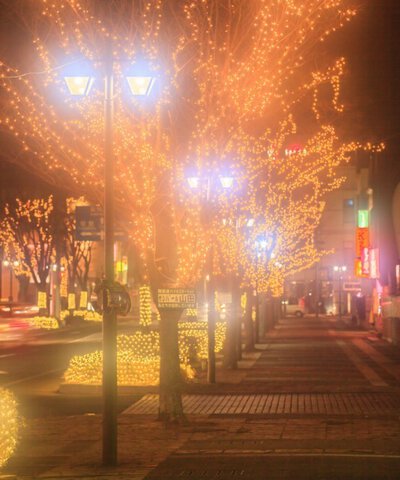 保原町陣屋通り
