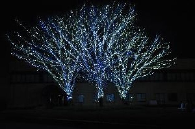徳島文理大学香川キャンパス