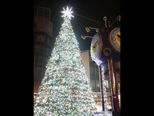 AOSSA、福井駅周辺商店街など