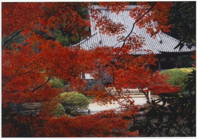 長岳寺の紅葉