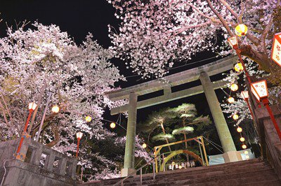 鬼怒川温泉 護国神社の桜