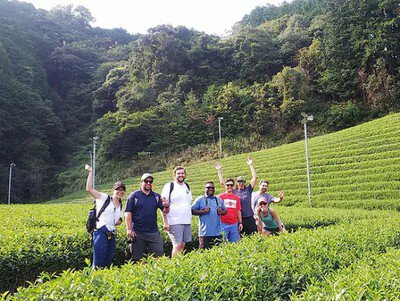 森内茶農園ファームビジット