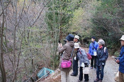 広島市森林公園 自然観察会 ～植物編～