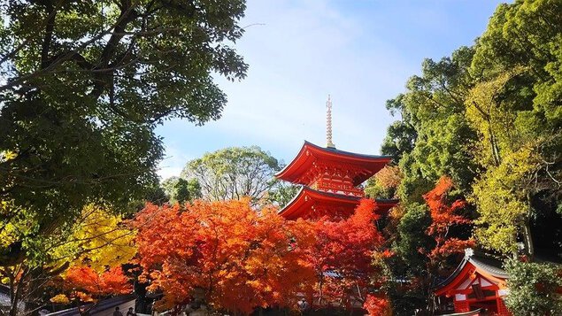 須磨寺の紅葉