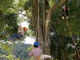 「ママルーシェアウトドアフェスタ2024」体験プログラム“木登り体験”