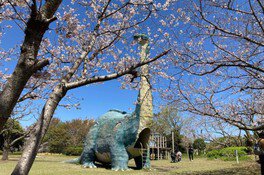 【桜・見ごろ】桜島自然恐竜公園