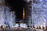 六本木ヒルズ　Roppongi Hills Christmas 2023 けやき坂イルミネーション