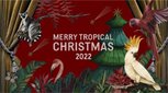 MERRY TROPICAL CHRISTMAS 2022 (メリー トロピカル クリスマス2022)