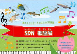 特別展示「SDN歌謡展」