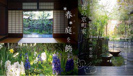 重要文化財 杉本家住宅 一般公開「花の京町家（4月）春庭を飾る」