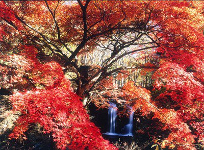 鐘山の滝の紅葉