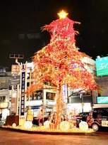 西船橋商店会 クリスマス ガーデンイルミネーション2023
