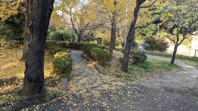 市制記念公園の紅葉