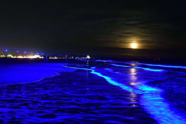 NIGHT WAVE (ナイトウェーブ) 海のイルミネーション in 大洗 大洗サンビーチ海水浴場