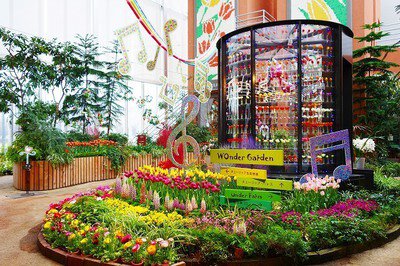 チューリップ四季彩館常設展「季節を彩る花々～春～」