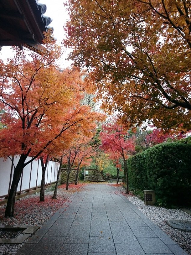 小倉城庭園の紅葉