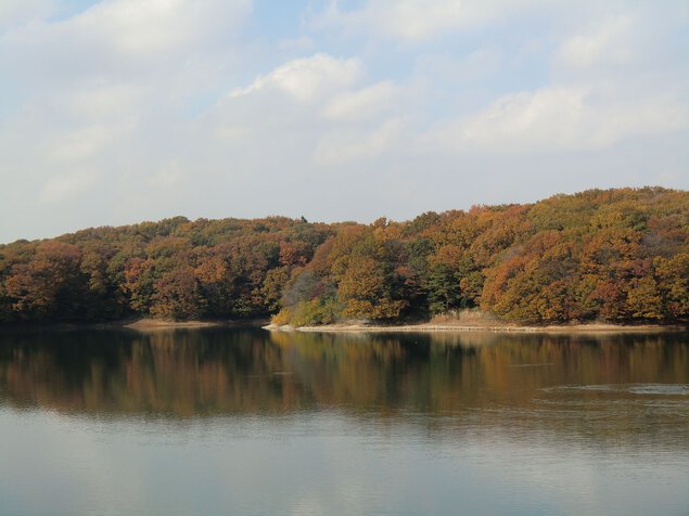 狭山湖(山口貯水池 ダム・県立狭山自然公園)の紅葉