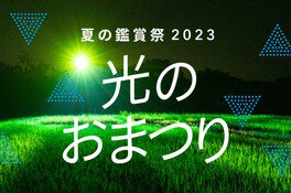 相馬田んぼアート 夏の鑑賞祭2023 光のおまつり