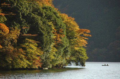 箱根(芦ノ湖)の紅葉