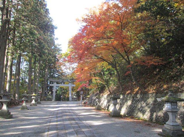 日枝神社(高山市)の紅葉