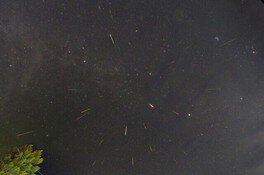 ペルセウス座流星群観望会2022＠大石林山